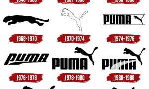 Puma — немецкая компания специализирующаяся на выпуске спортивной обуви, одежды