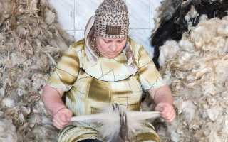 Шерсть — текстильное полотно, для производства которого используется волосяной покров различных животных