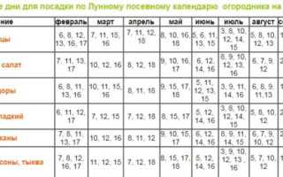 Благоприятные дни для посадок на март 2019 года по лунному календарю
