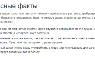 Можно ли замораживать салатные листья