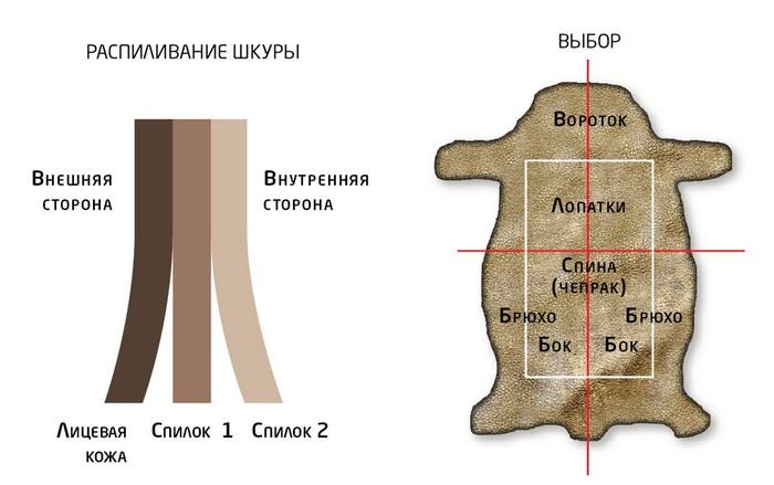 Разделение шкуры на слои