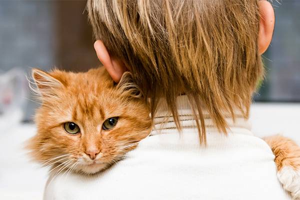 Мальчик обнимает кота