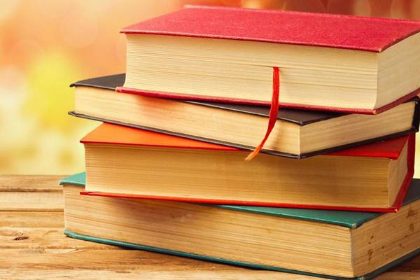 Стопка книг
