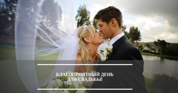 Стоит ли планировать свадьбу в наступающем 2019 году?