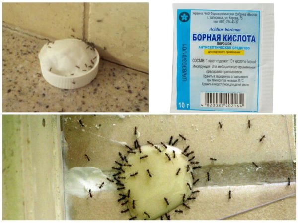Борная кислота