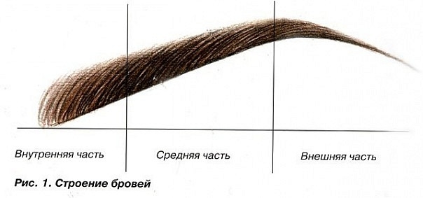 Тени для бровей: отзывы