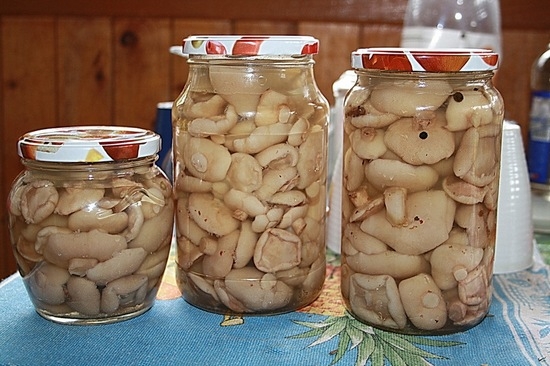 Маринованные грибы на зиму