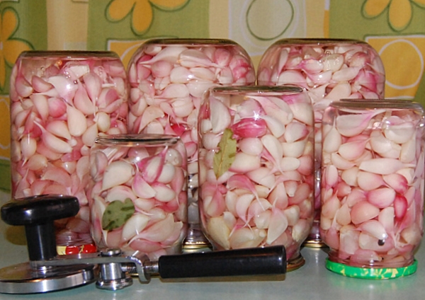 Маринованный чеснок: холодный способ
