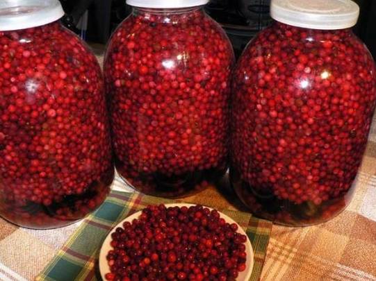 Мочёная клюква с яблоками