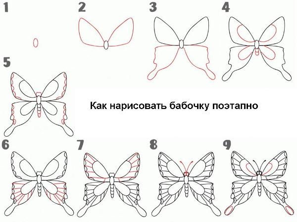 Как нарисовать бабочку?