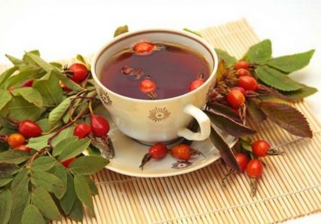 Чай из плодов шиповника