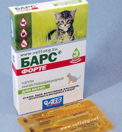 Как вывести блох у котенка?
