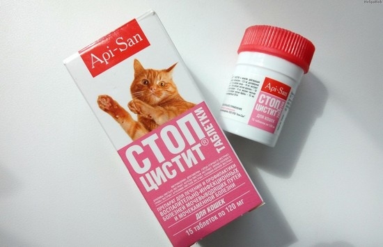 При первых признаках цистита