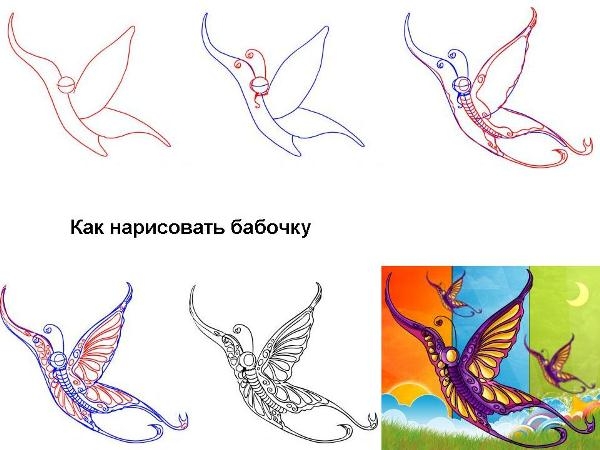 Как нарисовать бабочку?