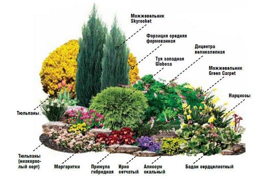 Составление схемы клумбы